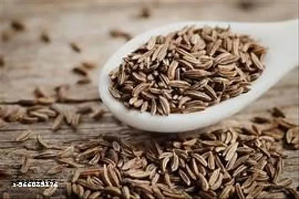Organic_Plus_Ayurveda_Cumin_Seeds_1kg