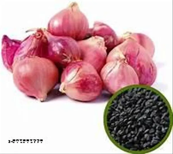 Organic_Plus_Ayurveda_Red_Onion_Seeds