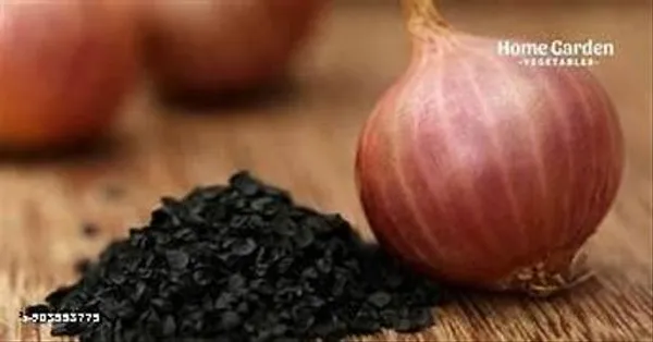 Organic_Plus_Ayurveda_Red_Onion_Seeds