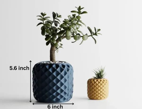 Plant_Pot_Crystalbloom