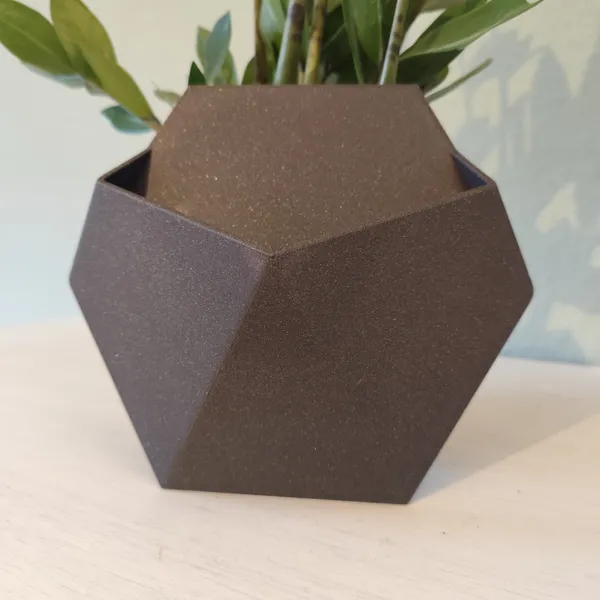 Mounted_Minimalist