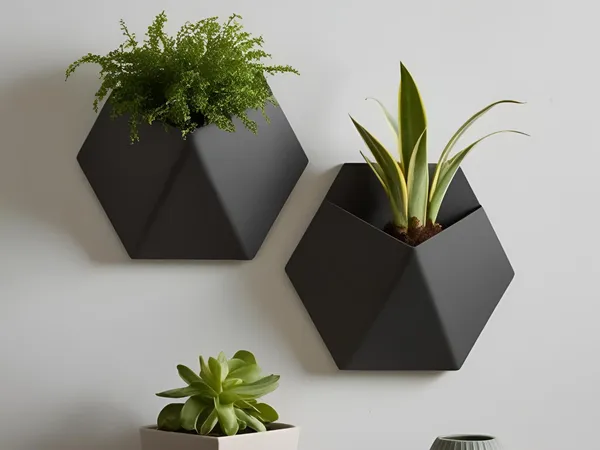 Mounted_Minimalist