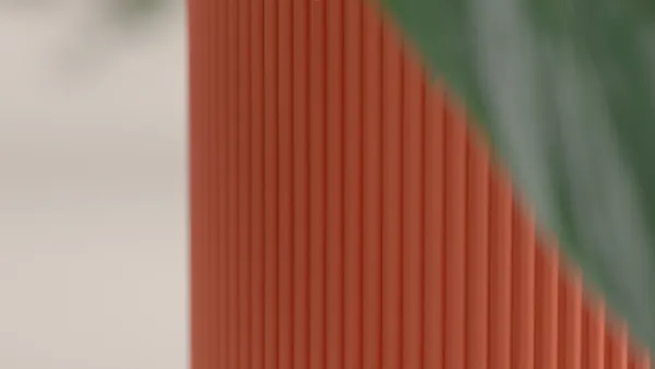 Tray_Drainage