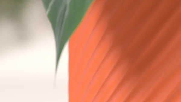 Integrated_Drainage_1