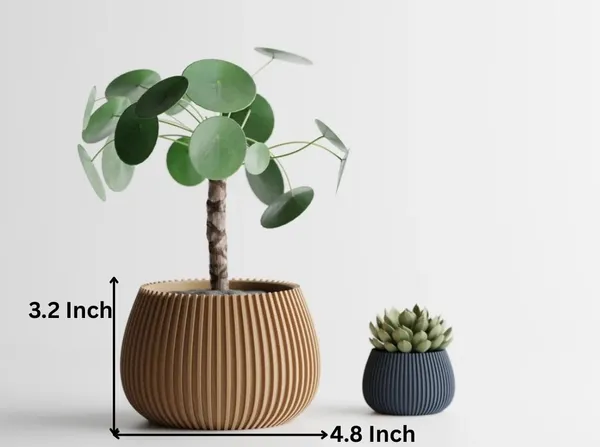 Modern_Ribbed_Planter_4