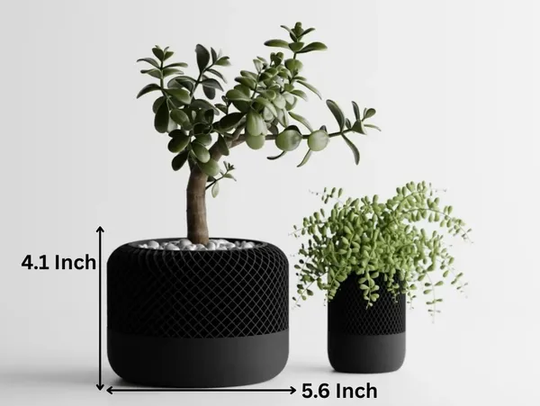 Modern_Square_Apple_Home_1