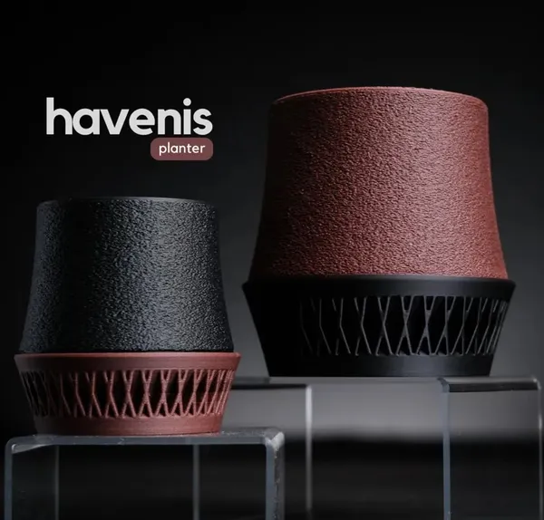 Havenis-Planter