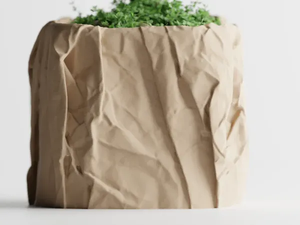 Crumbled_Paper_Pot