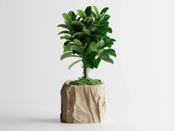 Crumbled_Paper_Pot