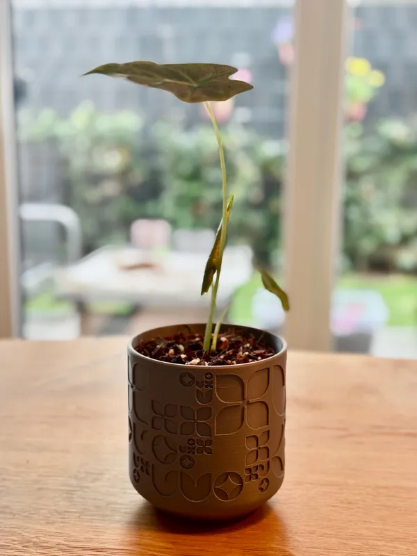 Plant_Pot_With_Geometric_Pattern