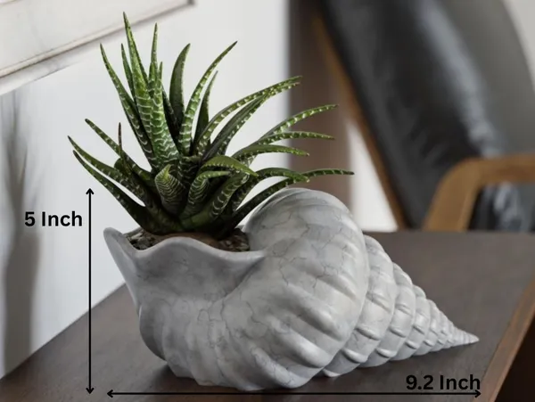 Shell_Flower_Pot