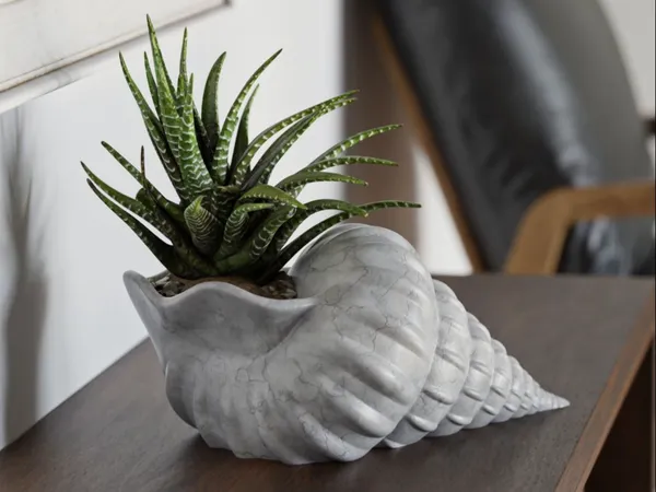 Shell_Flower_Pot