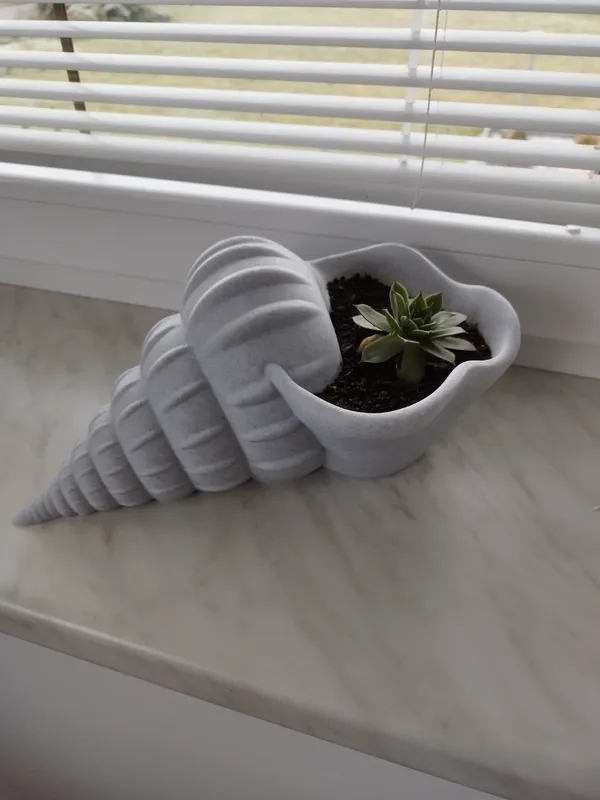 Shell_Flower_Pot