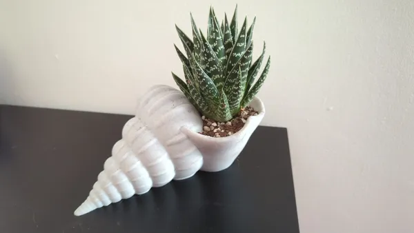 Shell_Flower_Pot