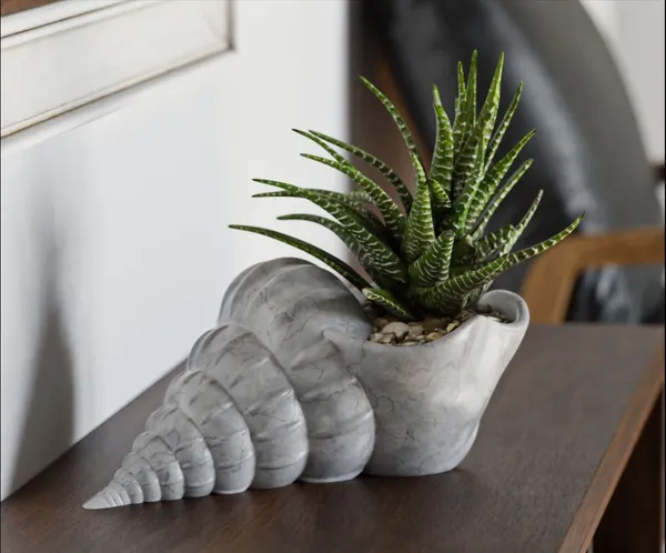 Shell_Flower_Pot