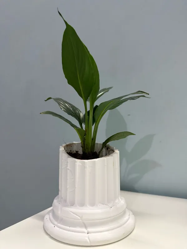 Greek_Pillar_Flower_Pot