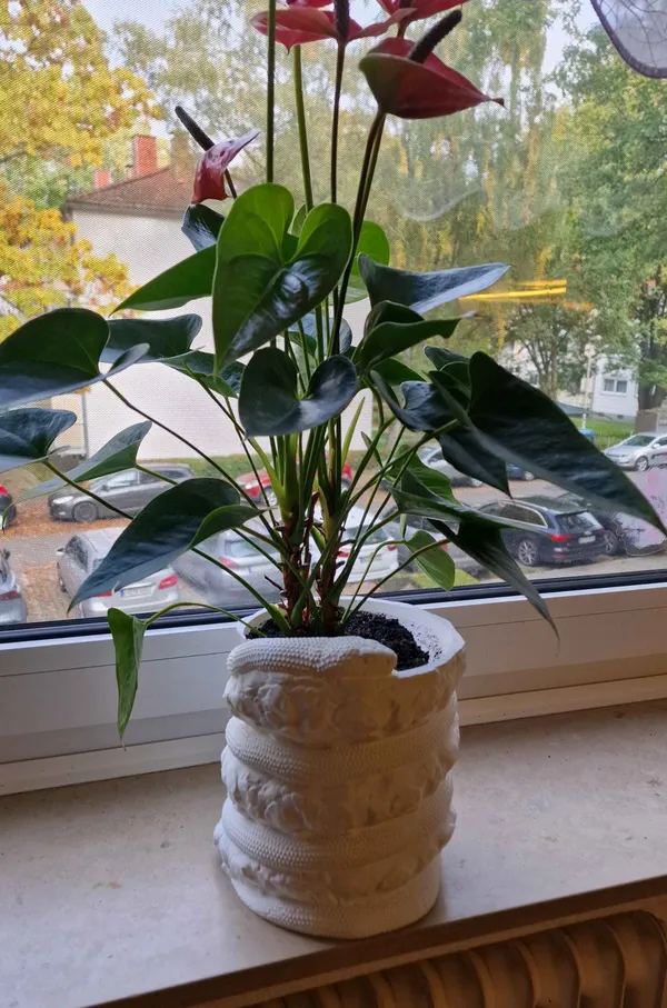 Snake_Flower_Pot