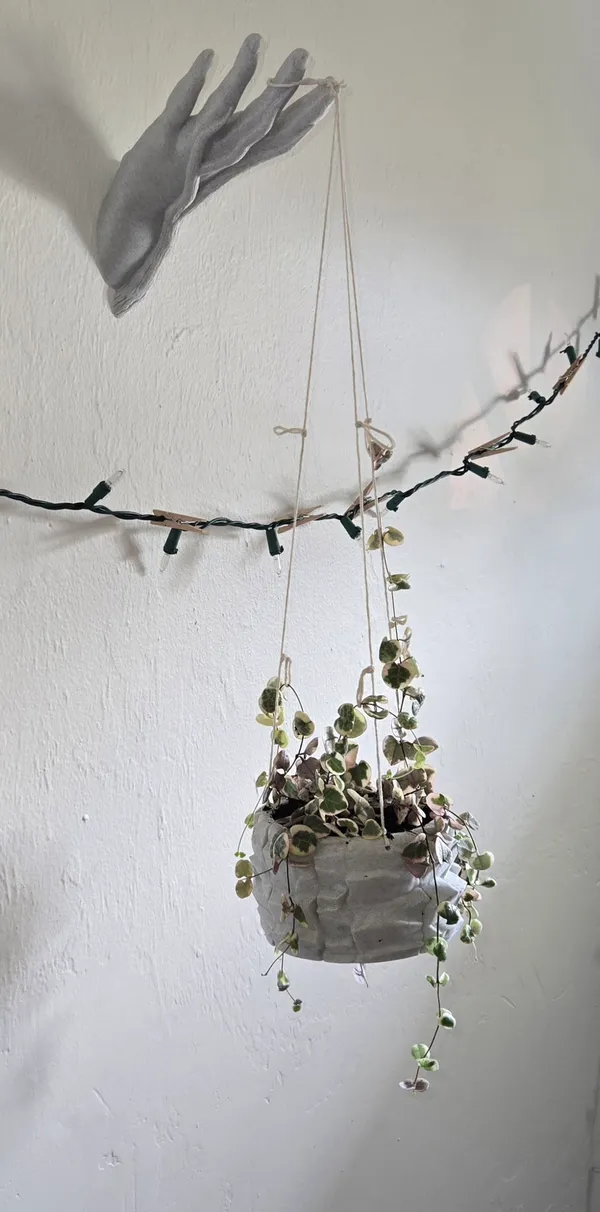 Wall_Hand_Flower_Pot_3