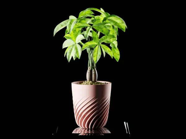 Plant_Pot_Ventra