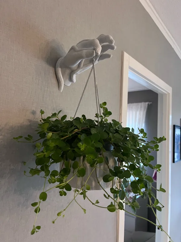 Wall_Hand_Flower_Pot_2