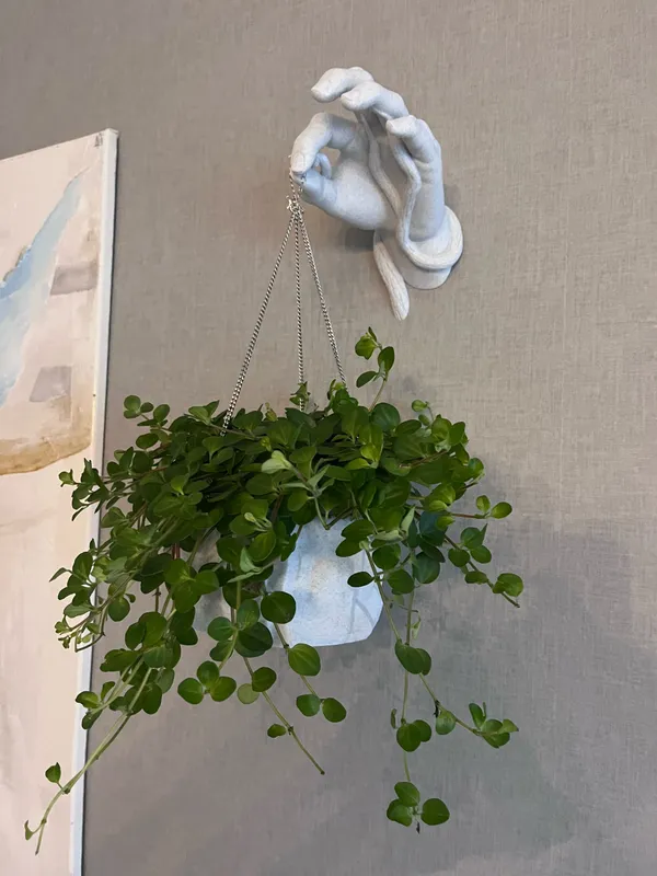 Wall_Hand_Flower_Pot_2