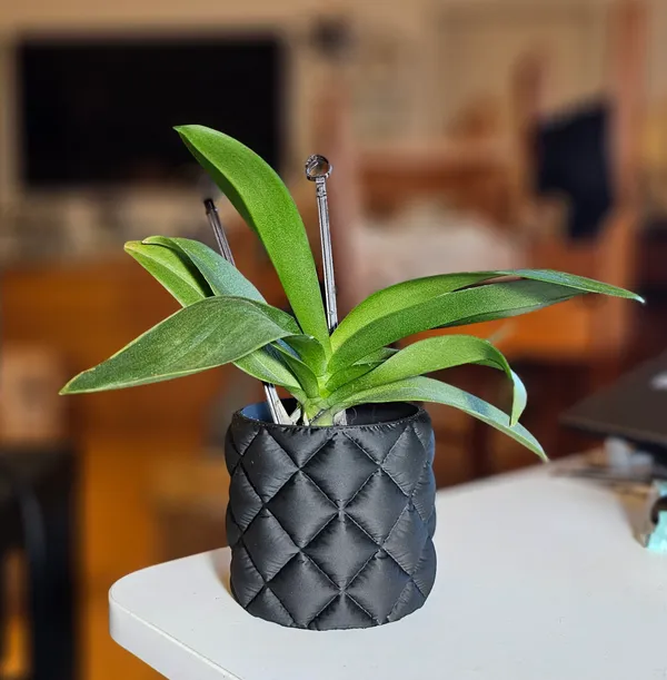 Cloth_Flower_Pot_9