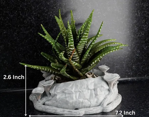 Mashroom_Flower_Pot_2