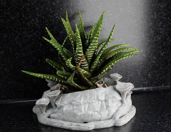 Mashroom_Flower_Pot_2