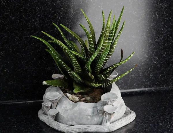 Mashroom_Flower_Pot_2