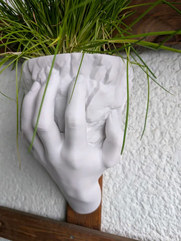 Wall_Rock_Flower_Pot