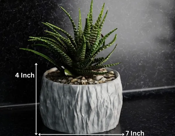 Rock_Floower_Pot_13
