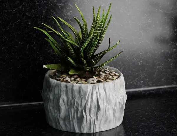 Rock_Floower_Pot_13