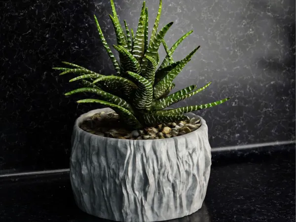 Rock_Floower_Pot_13