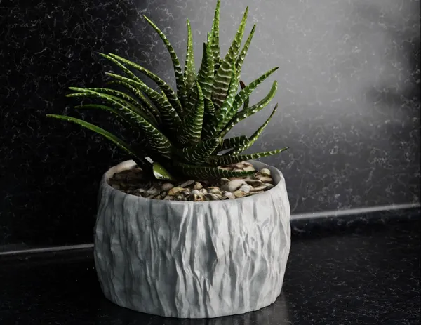Rock_Floower_Pot_13