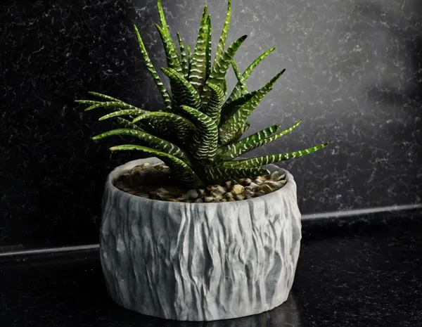 Rock_Floower_Pot_13