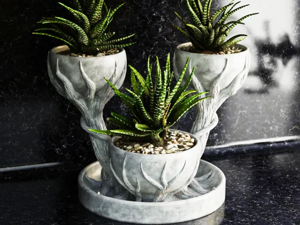 Three_Cups_Flower_Pot