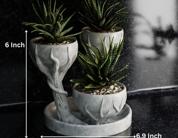 Three_Cups_Flower_Pot