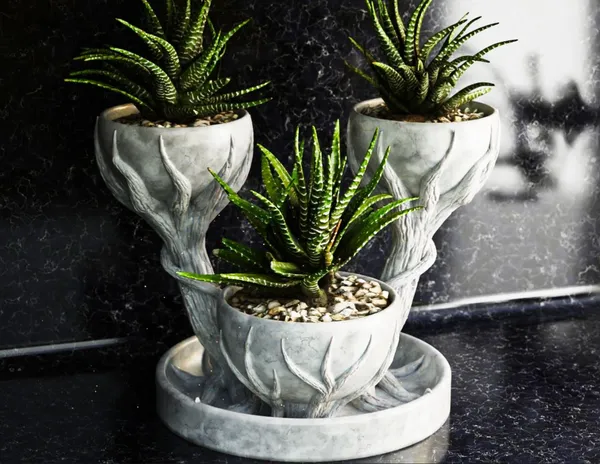 Three_Cups_Flower_Pot