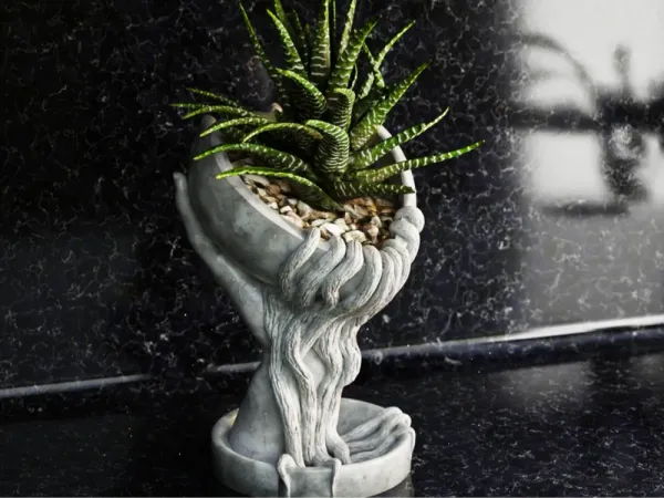 Heart_Roots_Vase