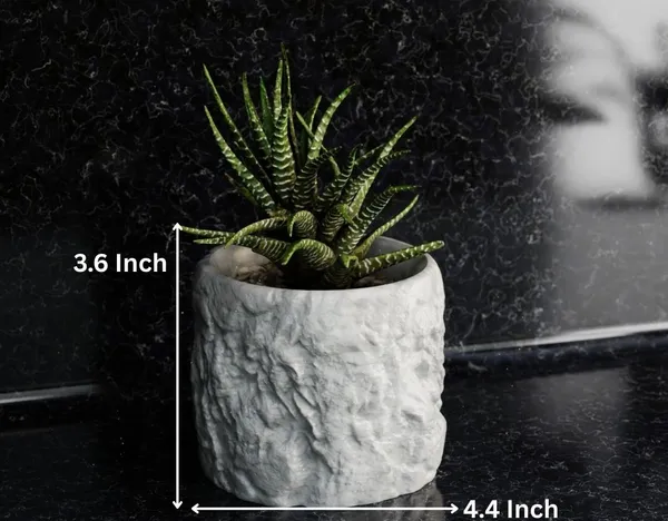 Rock_Floower_Pot_5