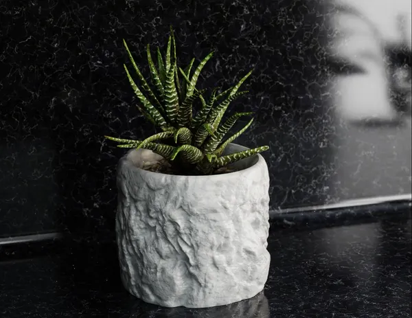 Rock_Floower_Pot_5