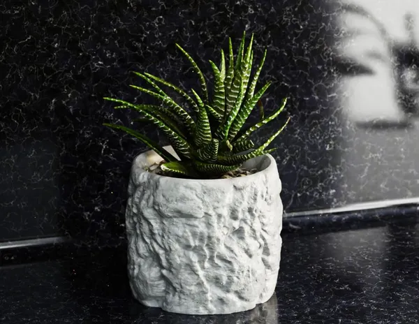 Rock_Floower_Pot_5