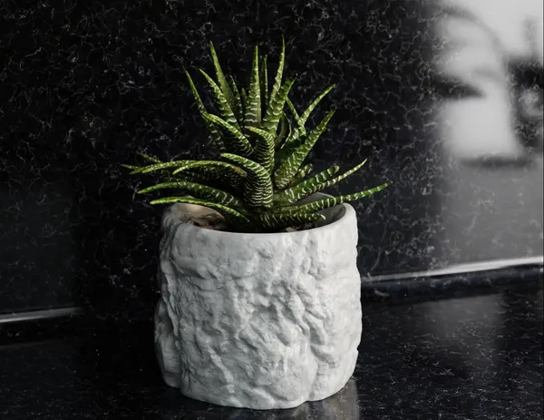 Rock_Floower_Pot_5