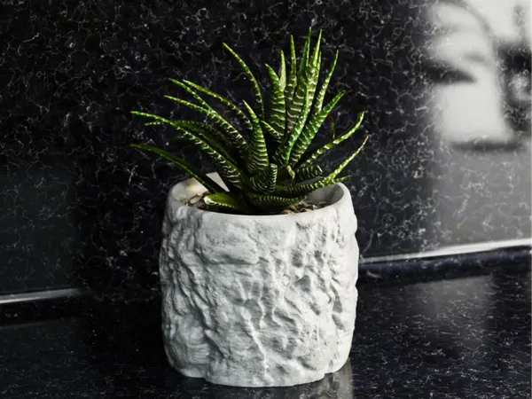 Rock_Floower_Pot_5
