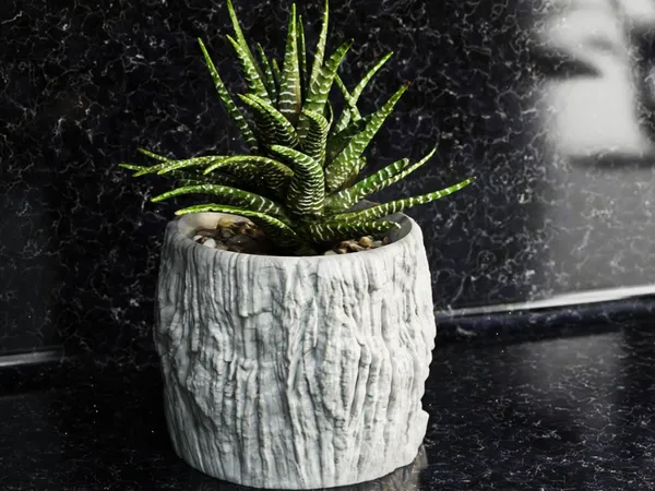 Rock_Floower_Pot