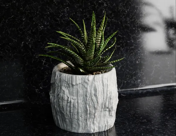 Rock_Floower_Pot