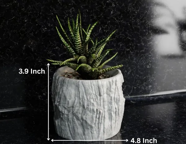 Rock_Floower_Pot