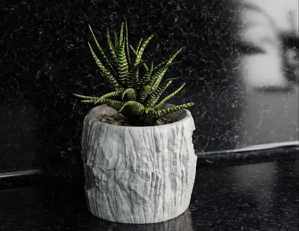 Rock_Floower_Pot