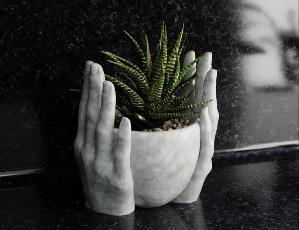 Simple_Hands_Flower_Pot