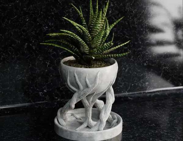 Spiral_Tree_Pot